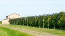 Esonero IVA agricolo: l'erede può continuare il regime?