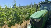 Enovitis in Campo 2026: tutte le novità tra i filari del Chianti