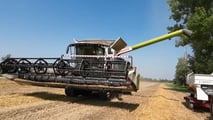 Come gestire rischio prezzi del grano duro con scelte meccaniche e contratti?