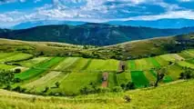 Acquisto terreni agricoli montani: paletti per le società