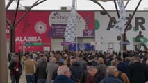 Vinitaly 2026: viticoltura italiana: surplus da 55,9 milioni di ettolitri