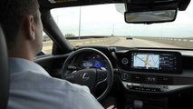 Lexus Teammate