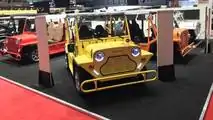 e-Moke