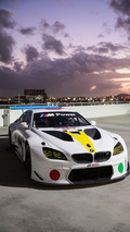 BMW M6 GTLM Art Car