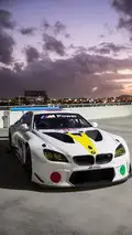 BMW M6 GTLM Art Car