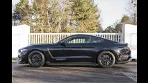 Der Mega-Mustang kommt zu uns