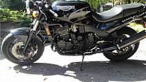 Online Find Panjo Edition - 1995 Triumph Speed Triple