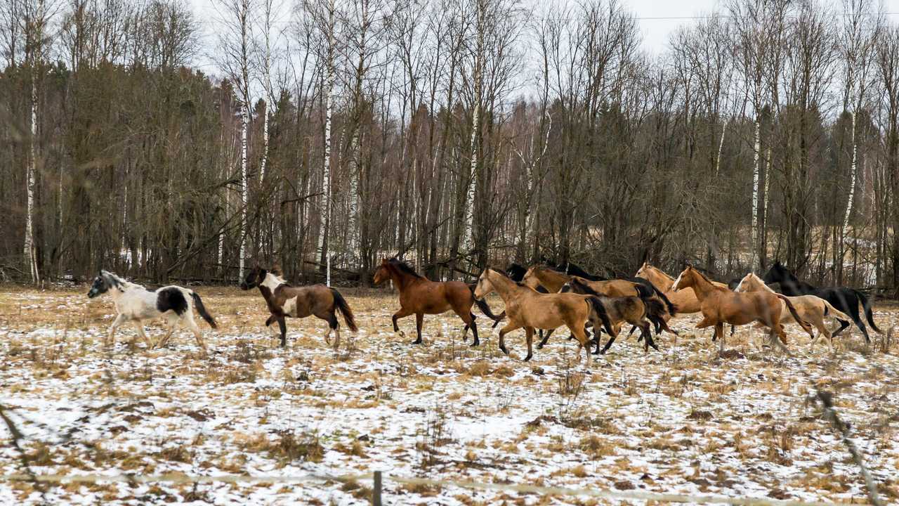 Москва - Тверь - Москва на «УАЗ Патриот»
