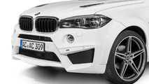 BMW X6 Falcon by AC Schnitzer