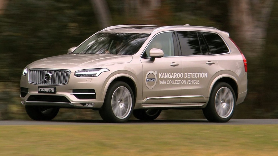Volvo kangaroo detection technology