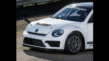 Volkswagen Maggiolino GRC 2015