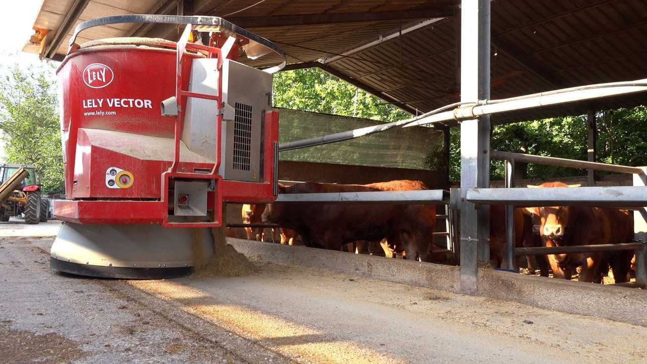 LELY VECTOR