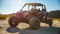 POLARIS-LE-4
