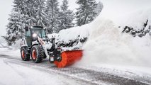 Bobcat Neve