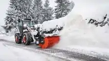 Bobcat Neve