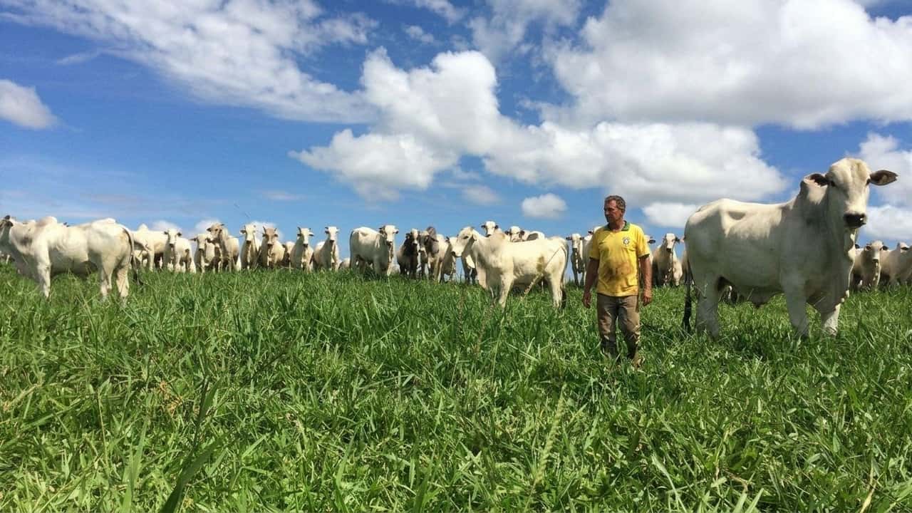 carne-brasiliana-bandita-dallue-dal-3-settembre