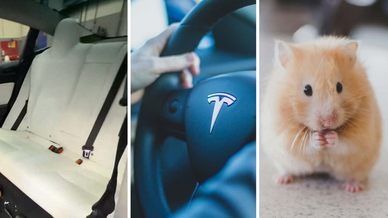 Woman Has To Take In Tesla To Mechanic