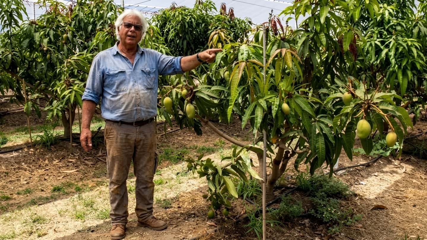 Frutta tropicale in Puglia, impatti su trattori e irrigazione