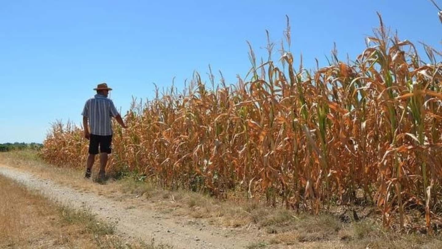 Austria, miliardi all’agricoltura ma i contadini non decollano