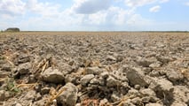 Dal 1° luglio più facile la cassa integrazione per caldo in agricoltura: basta mezza giornata di sospensione, ma il budget si riduce a 10 milioni