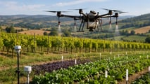 Decreto interministeriale imminente: droni agricoli autorizzati in Italia per trattamenti fitosanitari. Tutto quello che devi sapere