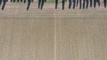 Come integrare pre-emergenza e sarchiatura GPS nella soia?