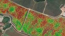 Viticoltura di precisione: trattamenti vite guidati da dati e app