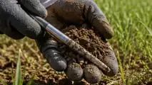 Integrazione pratica tra campionamento del suolo, sensori, piattaforme digitali e mappe di prescrizione per l’agricoltura di precisione nelle aziende italiane
