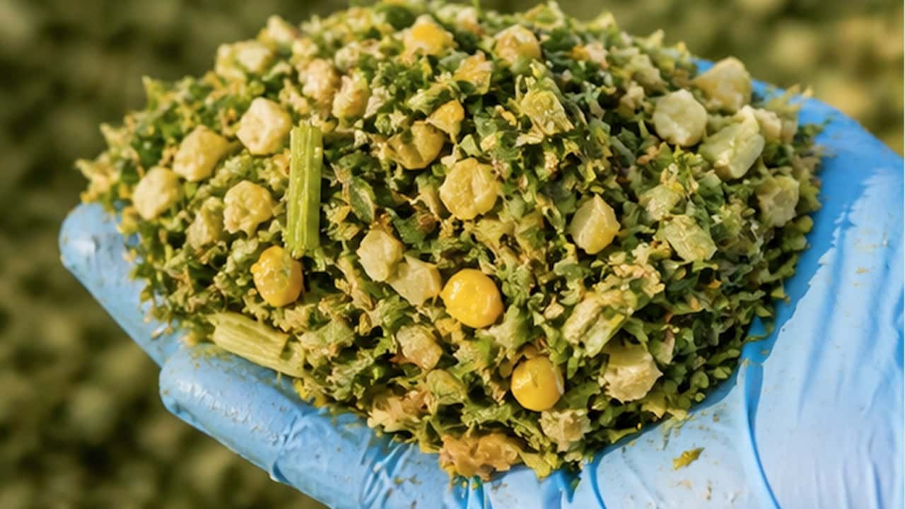 Come scegliere oggi gli inoculi giusti per il silomais?