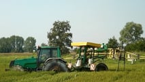  contenere riso crodo e graminacee resistenti in risaia, combinando Provisia, falsa semina, rotazioni colturali e controllo meccanico mirato