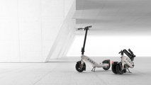 Pure Advance Electric Scooter - Main