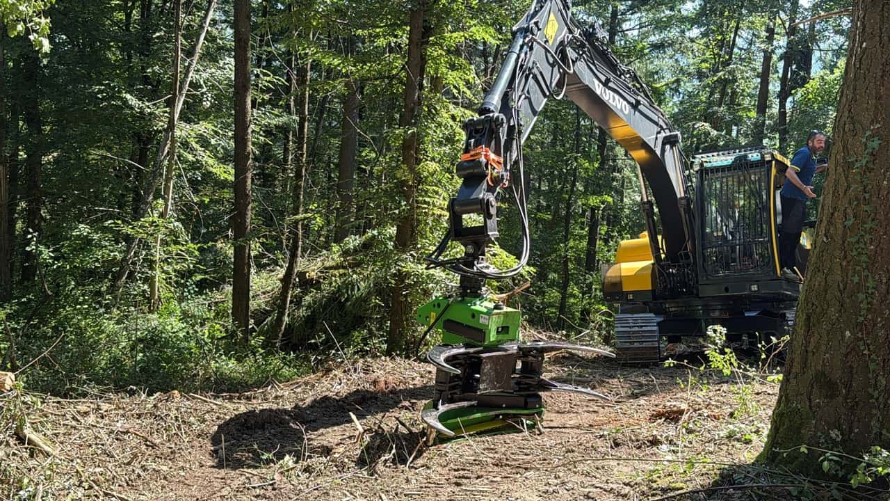  il nuovo incentivo agricolo per la tutela dei boschi