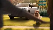 Teaser do Toyota RAV4 de 2026