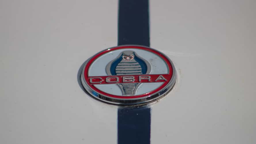 Cobra Argentina
