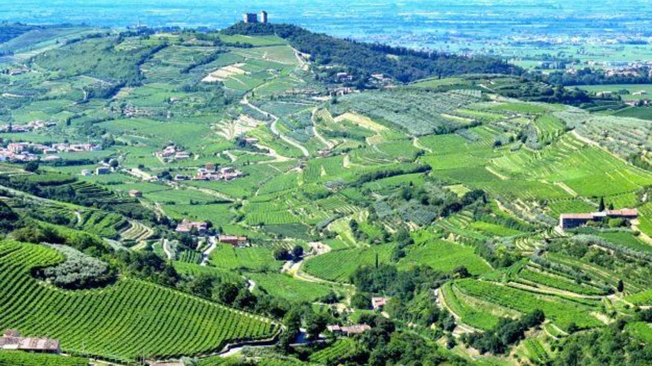 Valpolicella