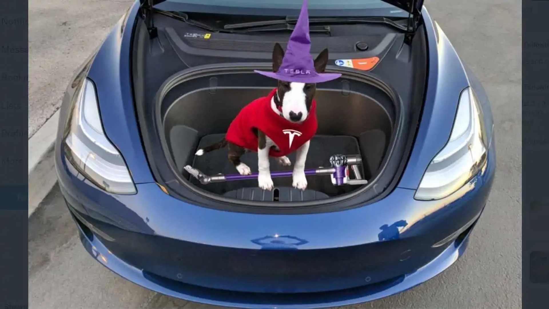 Some Tesla Owners Go All Out For Halloween