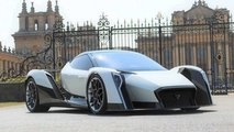 Dendrobium D1