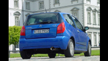 Stadtwiesel mit Diesel