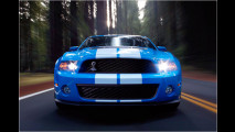 Mehr Muskeln für Mustang