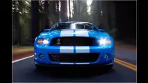 Mehr Muskeln für Mustang