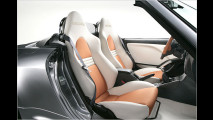 Babysize-Roadster