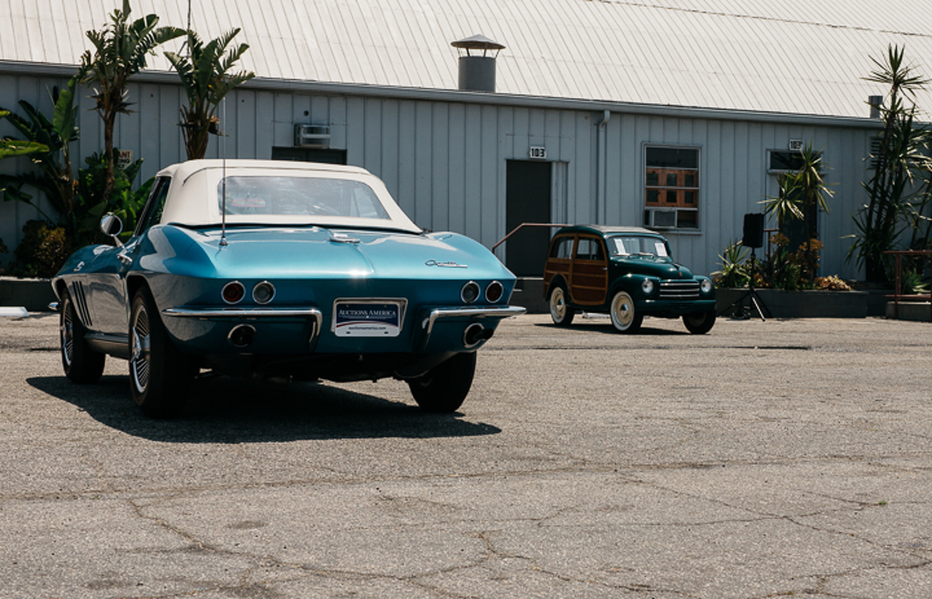 Let Your Imagination Run Wild At Auctions America