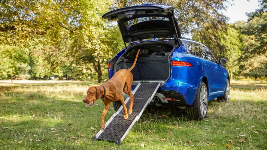 Jaguar Offers Pet-Friendly Accessories In Time For Christmas