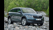 Studie zeigt Korea-Kodiaq