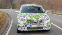 Skoda Fabia (2021) Covered Drive