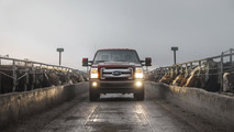 2015 Ford King Ranch Lineup