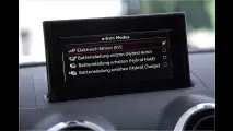 Für den Öko-Ingenieur