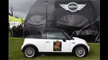 Internationales Mini-Meeting 2014