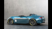 Spyder und Speedster