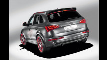 Audi Q5 custom concept